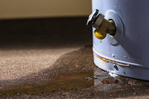 Best Water damage restoration near me  in Lake Catherine, IL