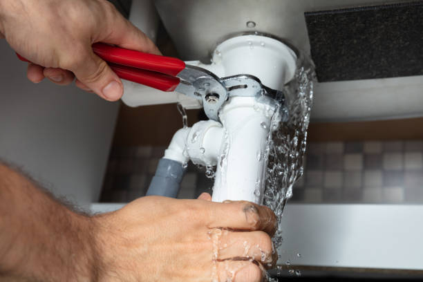 Best Ceiling water damage repair  in Lake Catherine, IL