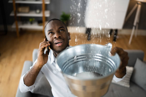 Best Flooded house restoration  in Lake Catherine, IL