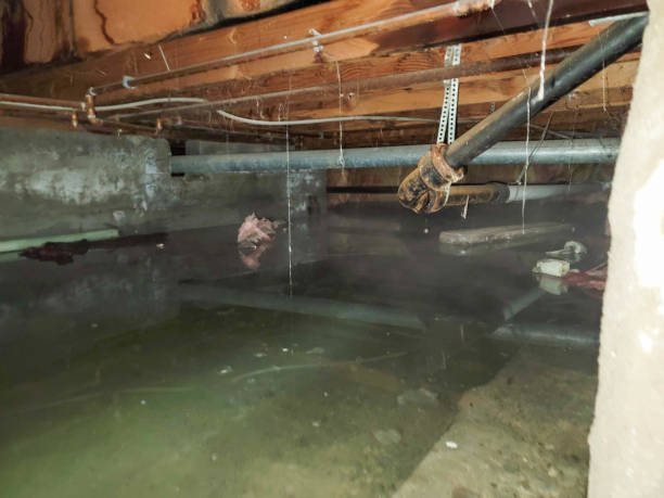 Best 24-hour water damage restoration  in Lake Catherine, IL