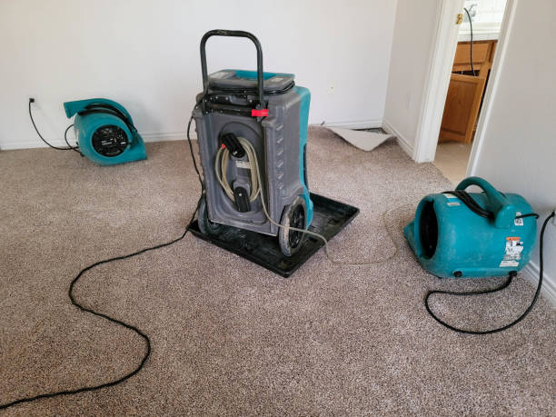 Best Fire Damage Restoration  in Lake Catherine, IL