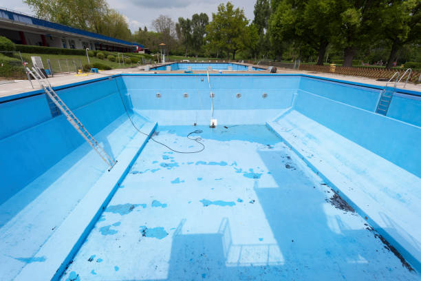Best Professional water damage repair  in Lake Catherine, IL