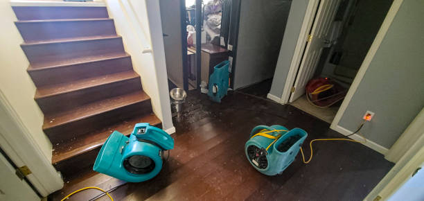 Best Flood restoration services  in Lake Catherine, IL