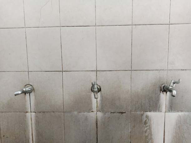 Best Carpet water damage restoration  in Lake Catherine, IL