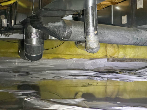 Best Sewage cleanup and water damage restoration  in Lake Catherine, IL