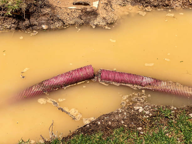 Best Water damage restoration specialists  in Lake Catherine, IL